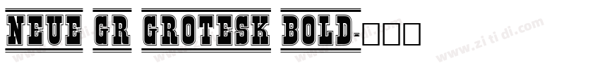 Neue GR Grotesk Bold字体转换